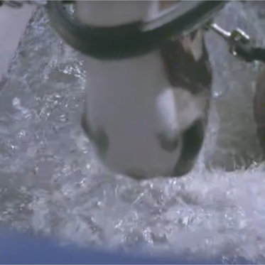 Equine vandløbebånd