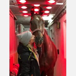 EquiBeNe S11 Solarium