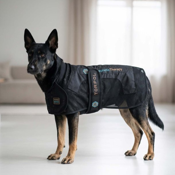 TORPOL� magnetic Dog Rug