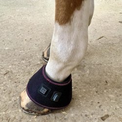 Infrapower Bell Boot