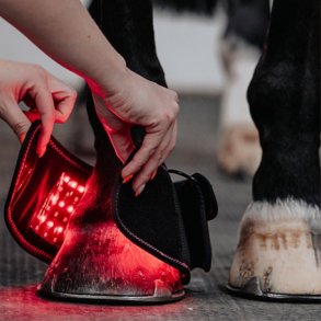 Infrapower Bell Boot
