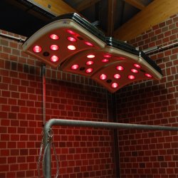 Maxuss Solarium