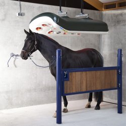 Mercurr Solarium
