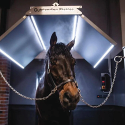 Stallvrme - Solarium Premium