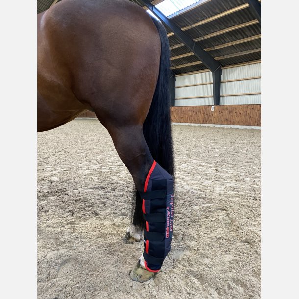 ActivoMed - Magnetic boots (hind legs)