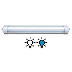 Horse Light Original