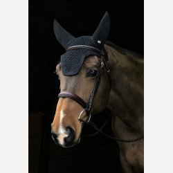 Plughz - Fluehtte "Sound off"