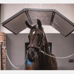 Stallvrme - Solarium Standard