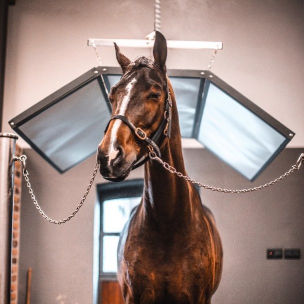 Stallvrme - Solarium Standard